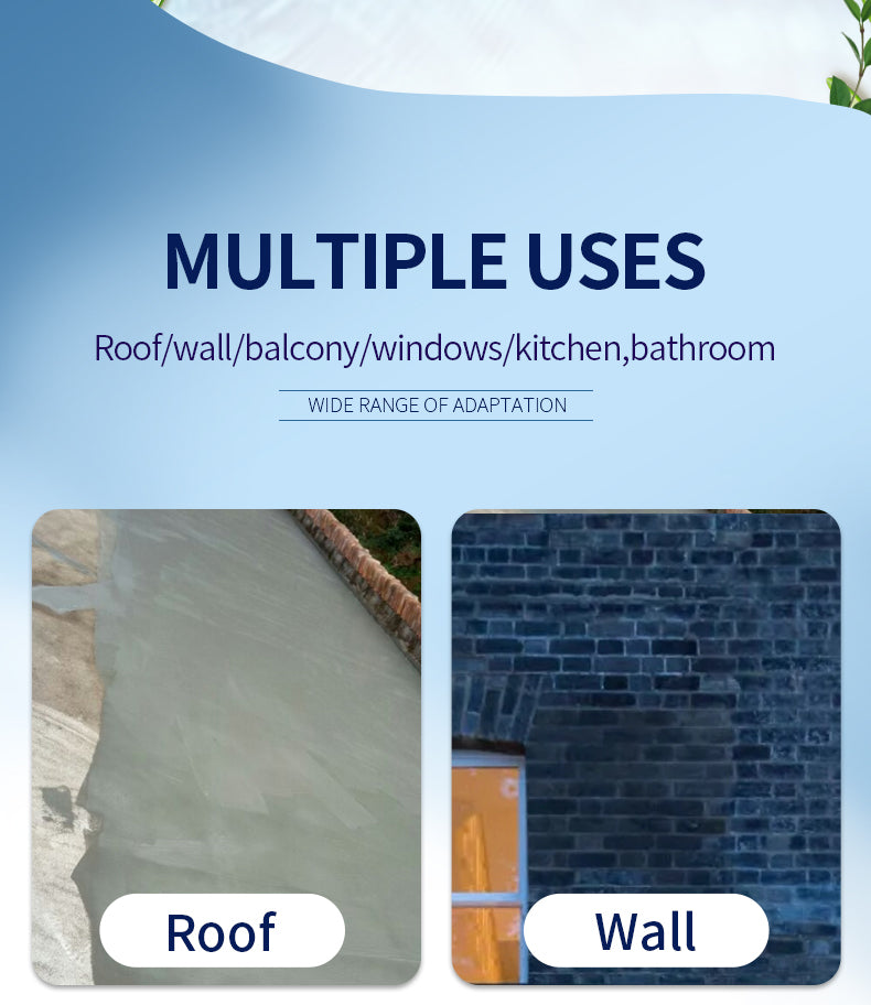 Wholesale CABERRY nano waterproofing supplier DPS waterproof coating