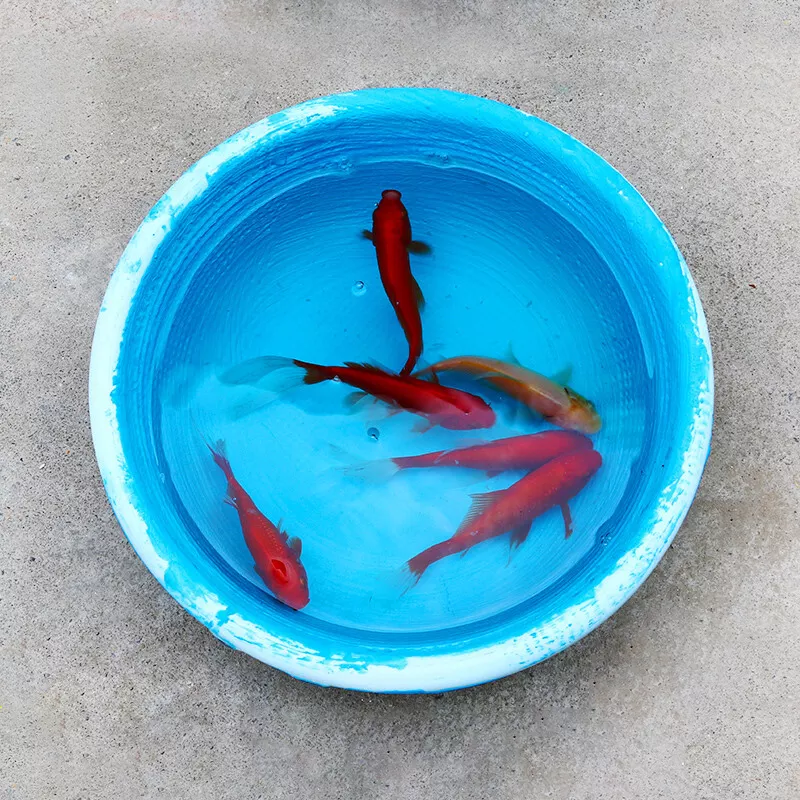 CABERRY waterproofing company JS polymer basement waterproofing