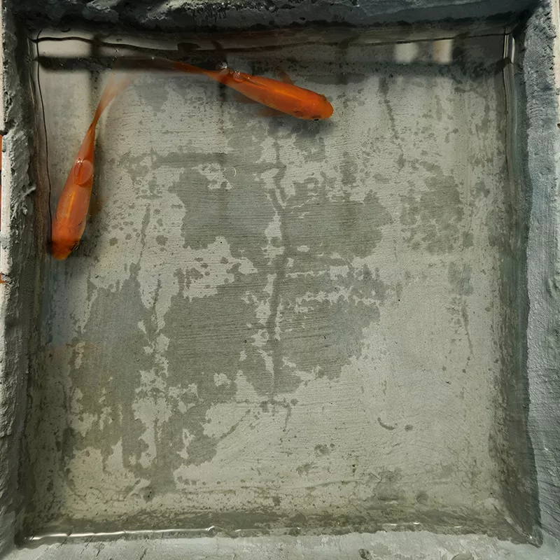 Wholesale CABERRY waterproofing companies roof super flexible basement waterproofing