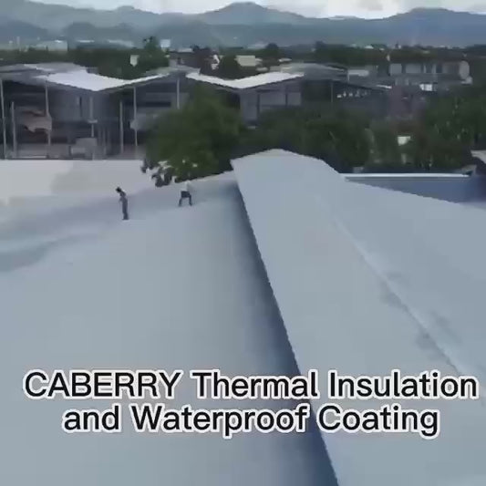 Wholesale CABERRY factory metal roof waterproofing thermal heat insulation waterproof paint